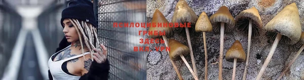 ГАЛЛЮЦИНОГЕННЫЕ ГРИБЫ Невьянск