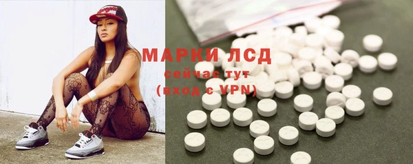 стаф Магадан