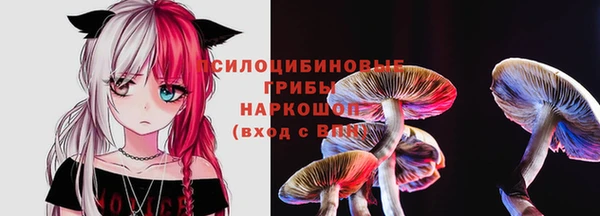 стаф Магадан