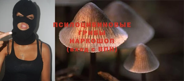 стаф Магадан