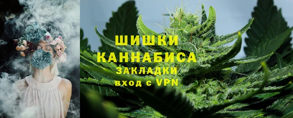 стаф Магадан